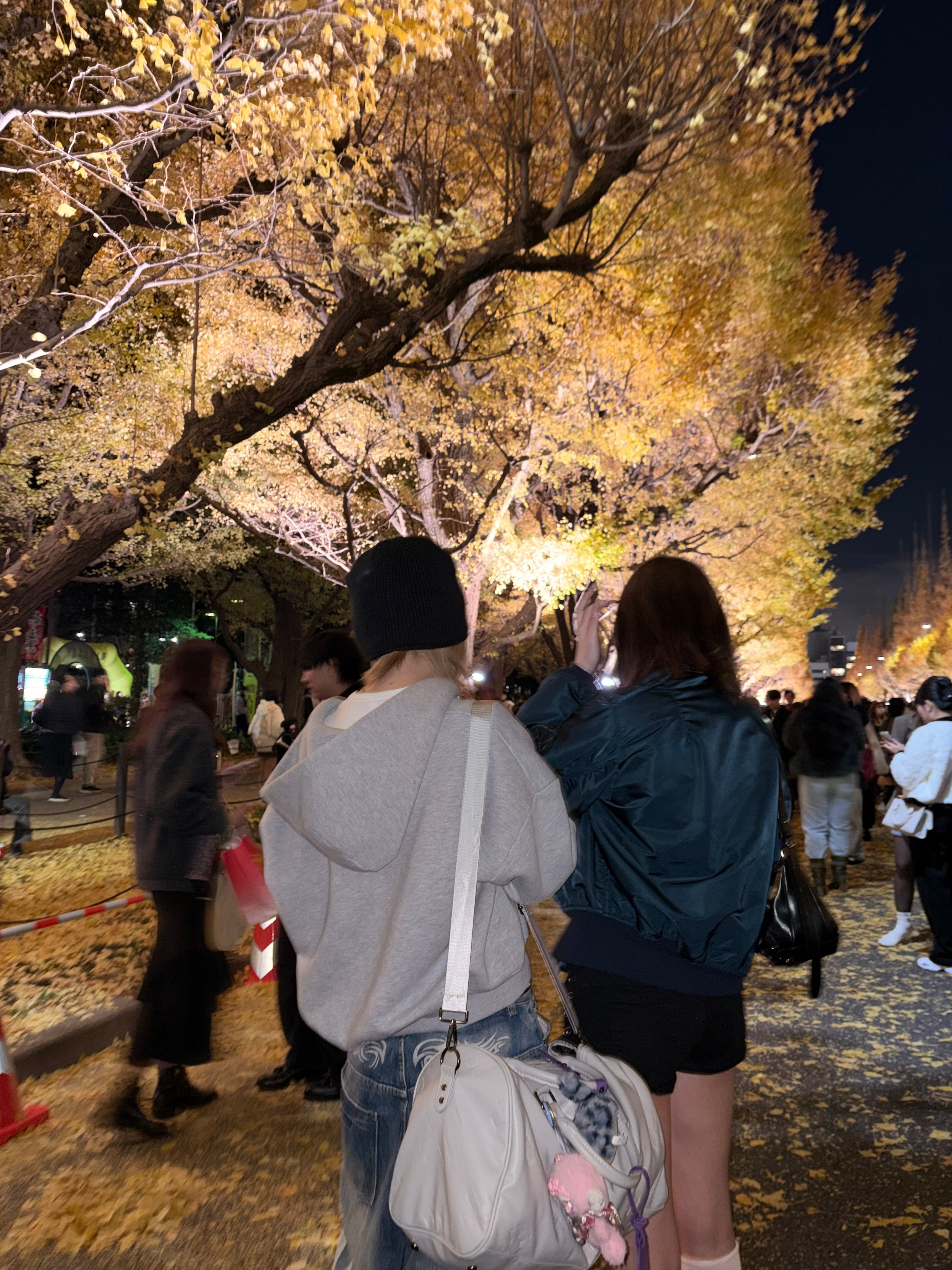 コンパクトボストンバッグ NA10155